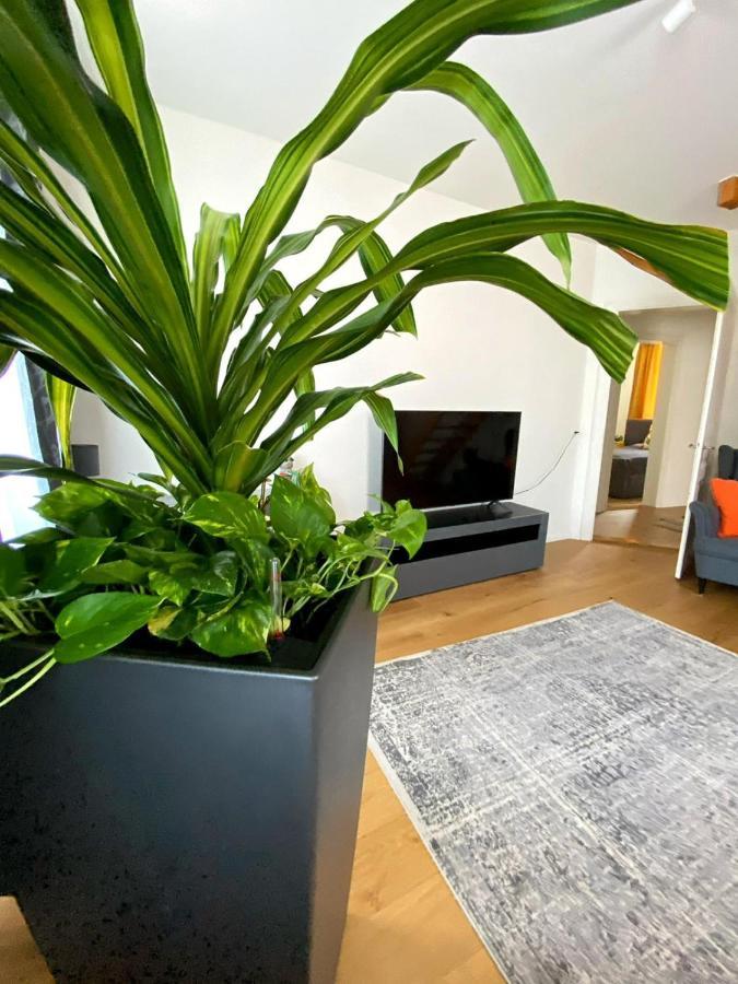 Stylish Two-Floor Apartment In A Heart Of Basilea Exterior foto